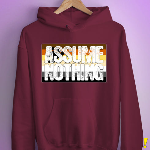 Assume Nothing Bear Pride Flag Hoodie - Maroon